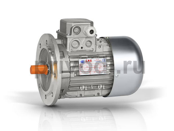Двухскоростной электродвигатель GR100LB 2/4 B5 (3.4-2.5)