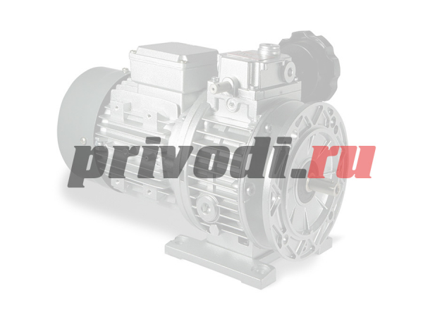 Вариатор CHV 30 D.28 B5 Chiaravalli
